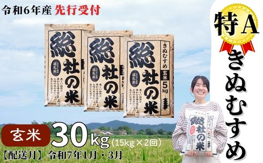 【ふるさと納税】米 定期便 先行予約 特A きぬむすめ 令和6年産 玄米 30kg 15kg 2回 選べる 配送月 岡山県産 総社産米【R7年1月・3月配送】