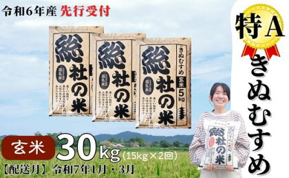 米 定期便 先行予約 特A きぬむすめ 令和6年産 玄米 30kg （15kg×2回） 選べる 配送月 岡山県産 総社産米【R7年1月・3月配送】