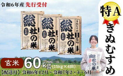 米 定期便 先行予約 特A きぬむすめ 令和6年産 玄米 60kg （15kg×4回） 選べる 配送月 岡山県産 総社産米【R6年12月・R7年2・4・6月】