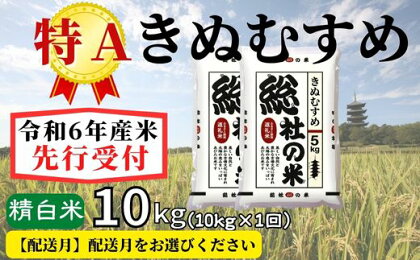 米 先行予約 特A きぬむすめ 令和6年産 白米 10kg （5kg×2袋）選べる 配送月 岡山県産 総社産米