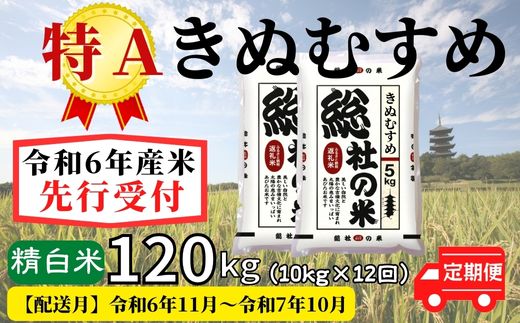 【ふるさと納税】米 定期便 先行予約 特A きぬむすめ 毎月 令和6年産 白米 120kg （10kg×12回）岡山県産 総社産米