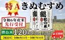 【ふるさと納税】米 定期便 先行予約 特A きぬむすめ 毎月 令和6年産 白米 120kg （10kg×12回）岡山県産 総社産米