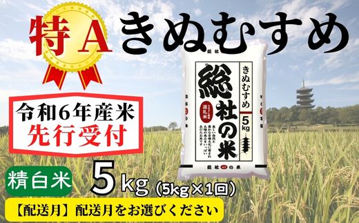 【ふるさと納税】米 先行予約 特A きぬむすめ 令和6年産 