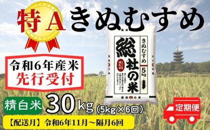 米 定期便 先行予約 特A きぬむすめ（5kg×6回） 岡山県 総社産米 【R6年11月・R7年1・3・5・7・9月】
