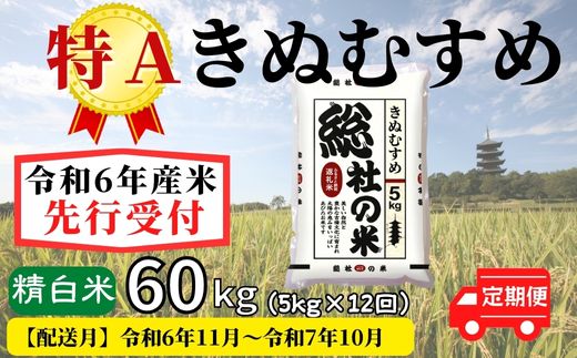 米 定期便 先行予約 特A きぬむすめ 毎月 令和6年産 白米 60kg (5kg×12回)岡山県産 総社産米