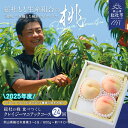 【ふるさと納税】【2025年産先行予約】もも 桃 岡山県 白桃 食べつくし クレイジーマニアックコース (24回配送)定期便 総社市産 岡山県総社もも生産組合 ...