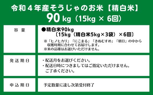 【ふるさと納税】米 定期便 令和4年産 白米 90kg （15kg×6回）総社産米 選べる 配送月