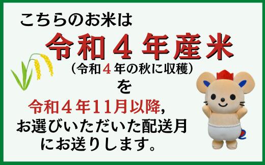 【ふるさと納税】米 定期便 令和4年産 白米 90kg （15kg×6回）総社産米 選べる 配送月