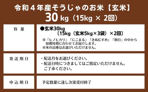 【ふるさと納税】米 定期便 玄米 令和4年産 計30kg （15kg×2回）総社産米 選べる 配送月