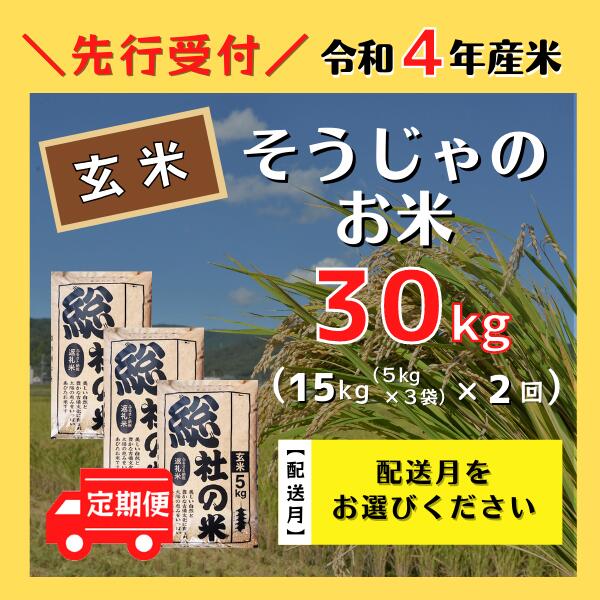 【ふるさと納税】米 定期便 玄米 令和4年産 計30kg （15kg×2回）総社産米 選べる 配送月