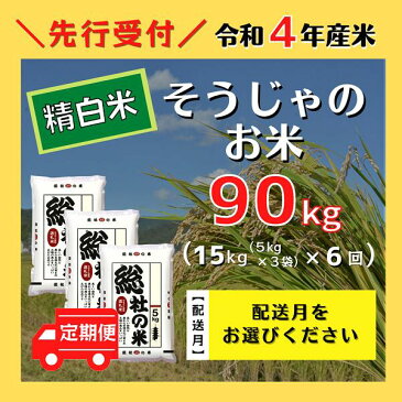 【ふるさと納税】米 定期便 令和4年産 白米 90kg （15kg×6回）総社産米 選べる 配送月