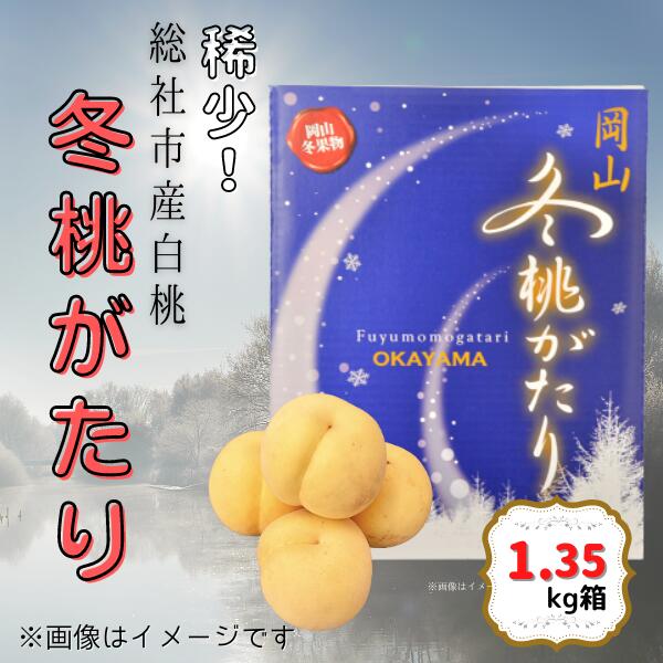 【ふるさと納税】白桃 冬桃がたり 岡山県 総社市産 2024年産先行予約 1.35kg箱 11月～12月配送