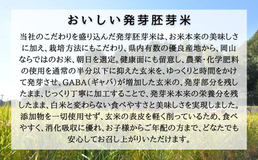 【ふるさと納税】おいしい発芽胚芽米 5kg（1kg×5袋）　米　発芽米　胚芽米　5kg　1kg