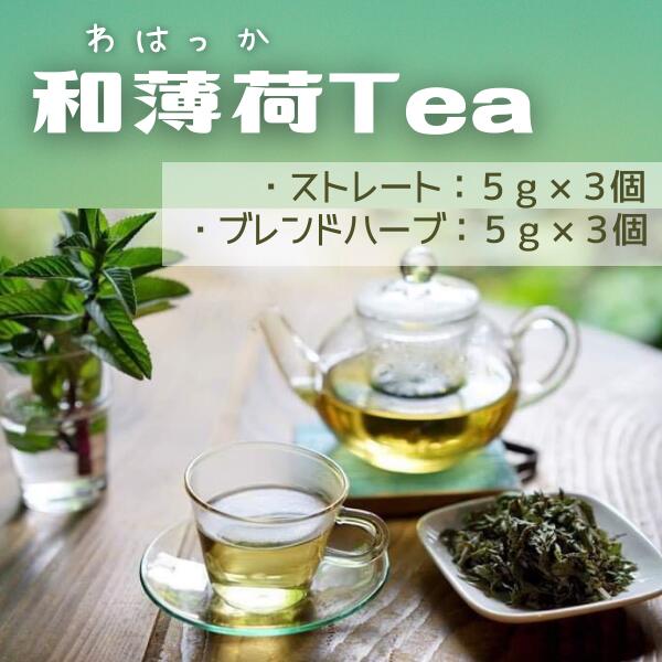 和薄荷Tea 薄荷 ティーバッグ お茶