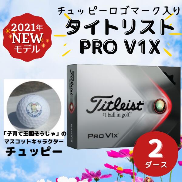 【ふるさと納税】ゴルフボール タイトリスト prov1x 2ダース チュッピー ロゴマーク入り　ロウナンバー