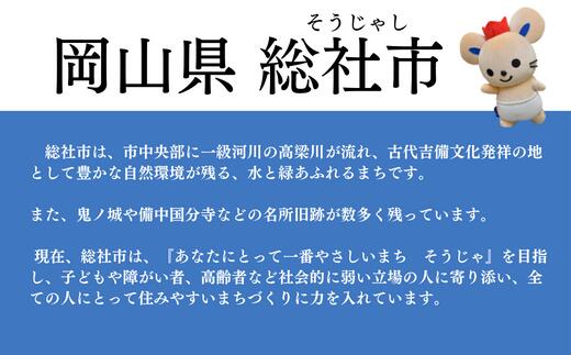 【ふるさと納税】返礼品なし 応援 寄附 岡山県 総社市 30000円