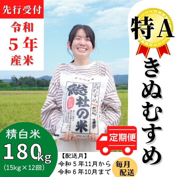 【ふるさと納税】米 定期便 先行予約 特A きぬむすめ 毎月 令和5年産 白米 180kg （15kg×12回）岡山県産 総社産米