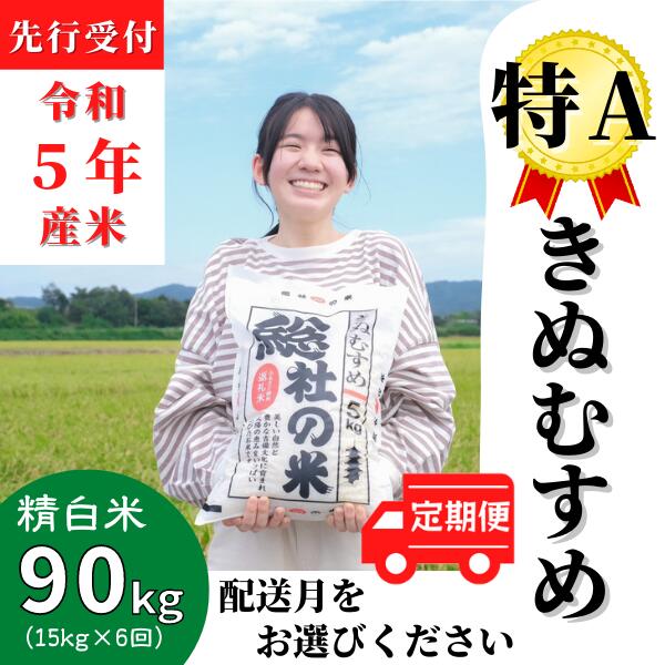 【ふるさと納税】米 定期便 先行予約 特A きぬむすめ 令和5年産 白米 90kg （15kg×6回）総社産米 選べる 配送月 岡山県産 総社産米