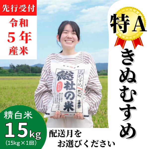 【ふるさと納税】米 先行予約 特A きぬむすめ 令和5年産 白米 15kg （5kg×3袋）選べる 配送月 岡山県産 総社産米