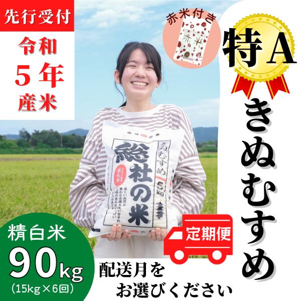 【ふるさと納税】 赤米付き 米 定期便 先行予約 特A きぬむすめ 令和5年産 白米 90kg （15kg×6回）総社産米 選べる 配送月 岡山県産 総社産米