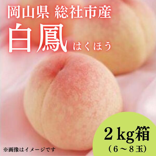 2024年産先行予約 白桃 白鳳 2kg箱 岡山県 総社市産 7月配送 6〜8玉