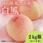 【ふるさと納税】2024年産先行予約 白桃 白鳳 2kg箱 岡山県 総社市産 7月配送 6～8玉