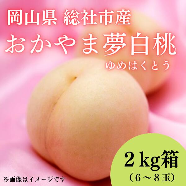 【ふるさと納税】白桃 おかやま夢白桃 2kg箱 岡山県 総社市産 2024年産先行予約 6～8玉 7月～8月配送