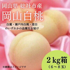 【ふるさと納税】岡山白桃 2kg箱 岡山県 総社市産 2023年産先行予約 6～8玉 8月上旬～8月下旬配送