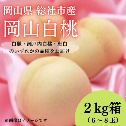 岡山白桃 2kg箱 岡山県 総社市産 2024年産先行予約 6～8玉 8月上旬～8月下旬配送