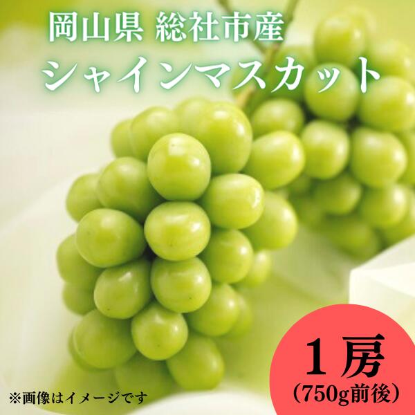 ぶどう シャインマスカット 岡山県 総社市産 2024年産先行予約 1房