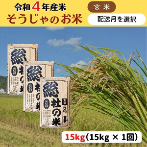 【ふるさと納税】米 令和4年産 玄米 15kg （5kg×3袋）総社産米 選べる 配送月
