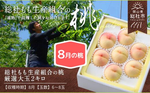 【ふるさと納税】【2024年産先行予約】もも 桃 岡山県 白桃 大玉 2kg箱 （6～8玉） 8月配送 総社市産 ...