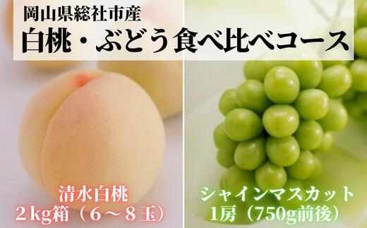 【ふるさと納税】2回定期便 白桃 清水白桃 ぶどう シャインマスカット 食べ比べ 岡山県 総社市産 2024...