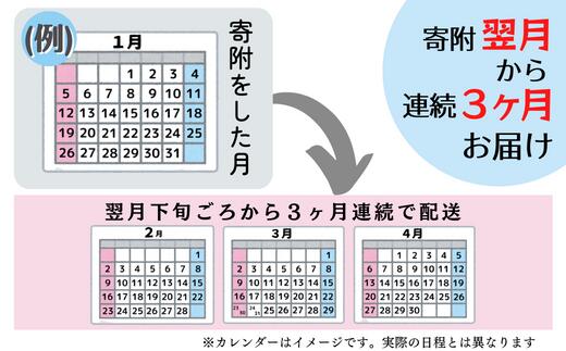 【ふるさと納税】米 無洗米 定期便 3ヶ月 3回配送 令和5年産 きぬむすめ 特A 10kg 5kg×2袋 総社 そうじゃ