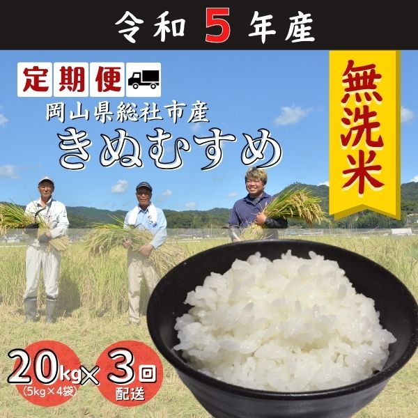 【ふるさと納税】米 無洗米 定期便 3ヶ月 3回配送 令和5