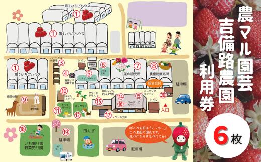 【ふるさと納税】農マル園芸吉備路農園利用券（6枚）　利用券　送料無料