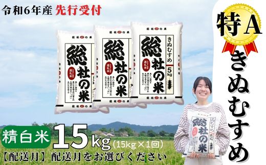 【ふるさと納税】米 先行予約 特A きぬむすめ 令和6年産 白米 15kg （5kg×3袋）選べる 配送月 岡山県産 総社産米