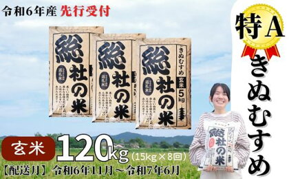 米 定期便 先行予約 特A きぬむすめ 毎月 令和6年産 玄米 120kg （15kg×8回） 岡山県産 総社産米