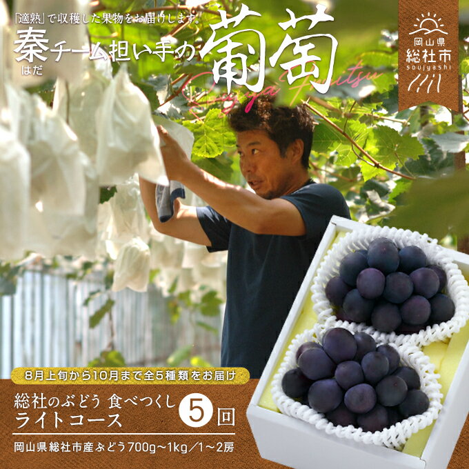 [2024年産先行予約]ぶどう 岡山県 葡萄 食べつくしライトコース(700g〜1kg/1〜2房×5回配送)定期便 岡山県 総社市産