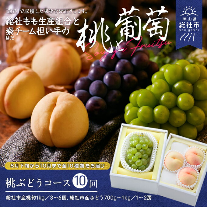 [2024年産先行予約]もも 桃 岡山県 白桃 ぶどう 葡萄 桃ぶどうコース 10種(全10回)定期便 岡山県 総社市産