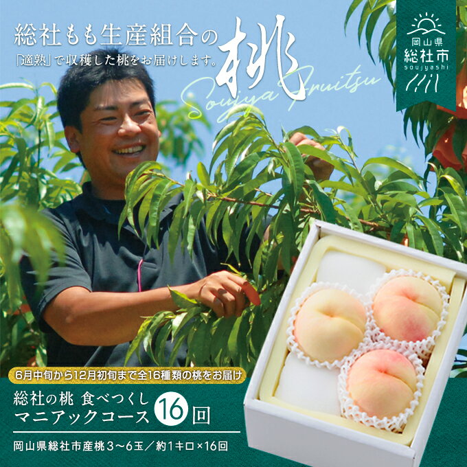 [2024年産先行予約]もも 桃 岡山県 白桃 食べつくし マニアックコース (1kg×16回配送)定期便 総社市産 岡山県総社もも生産組合