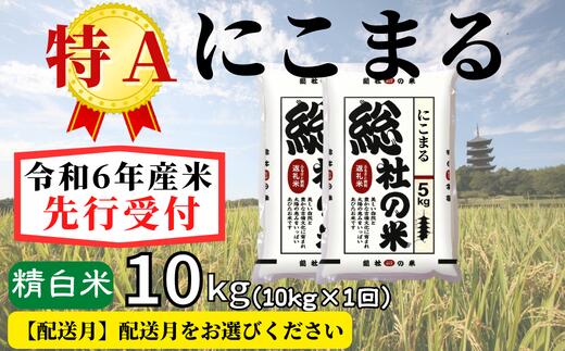 【ふるさと納税】米 先行予約 特A にこまる 令和6年産 白米 10kg （5kg×2袋）選べる 配送月 岡山県産 総社産米