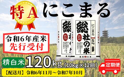 【ふるさと納税】米 定期便 先行予約 特A にこまる 毎月 令和6年産 白米 120...