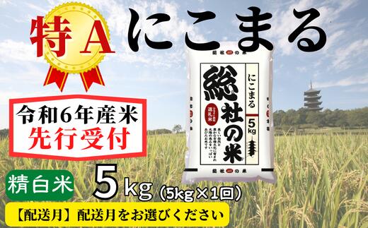 【ふるさと納税】米 先行予約 特A にこまる 令和6年産 白米 5kg 7,000円 選べる 配送月 岡山県産 総社産米