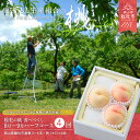 29位! 口コミ数「0件」評価「0」【2024年産先行予約】もも 桃 岡山県 白桃 食べつくし ハーフコース 8月～9月配送 （約1kg×4回配送） 定期便 総社市産 岡山県総･･･ 