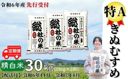 米 定期便 先行予約 特A きぬむすめ 令和6年産 白米 30kg （15kg×2回）選べる 配送月 岡山県産 総社産米 【R6年11月・R7年1月配送】