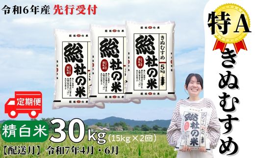 【ふるさと納税】米 定期便 先行予約 特A きぬむすめ 令和6年産 白米 30kg （15kg×2回...