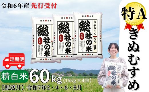 米 定期便 先行予約 特A きぬむすめ 令和6年産 白米 60kg （15kg×4回）選べる 配送月 岡山県産 総社産米 【R7年2・4・6・8月】