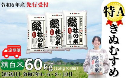 米 定期便 先行予約 特A きぬむすめ 令和6年産 白米 60kg （15kg×4回）選べる 配送月 岡山県産 総社産米 【R7年4・6・8・10月】