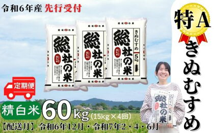 米 定期便 先行予約 特A きぬむすめ 令和6年産 白米 60kg （15kg×4回）選べる 配送月 岡山県産 総社産米 【R6年12月・R7年2・4・6月】